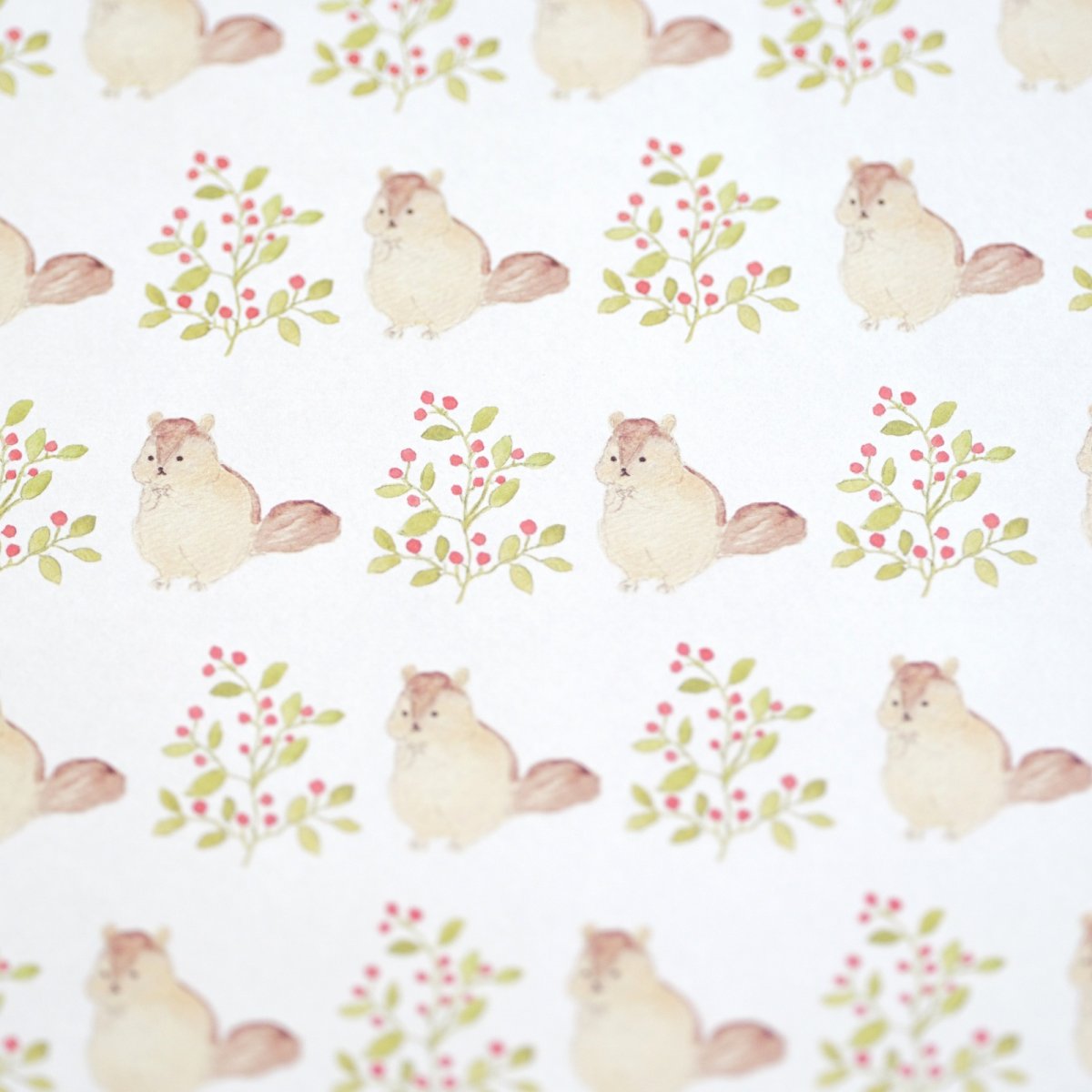 画像2: 〔500円×5個〕包装紙撰-リスと木の実 (2)