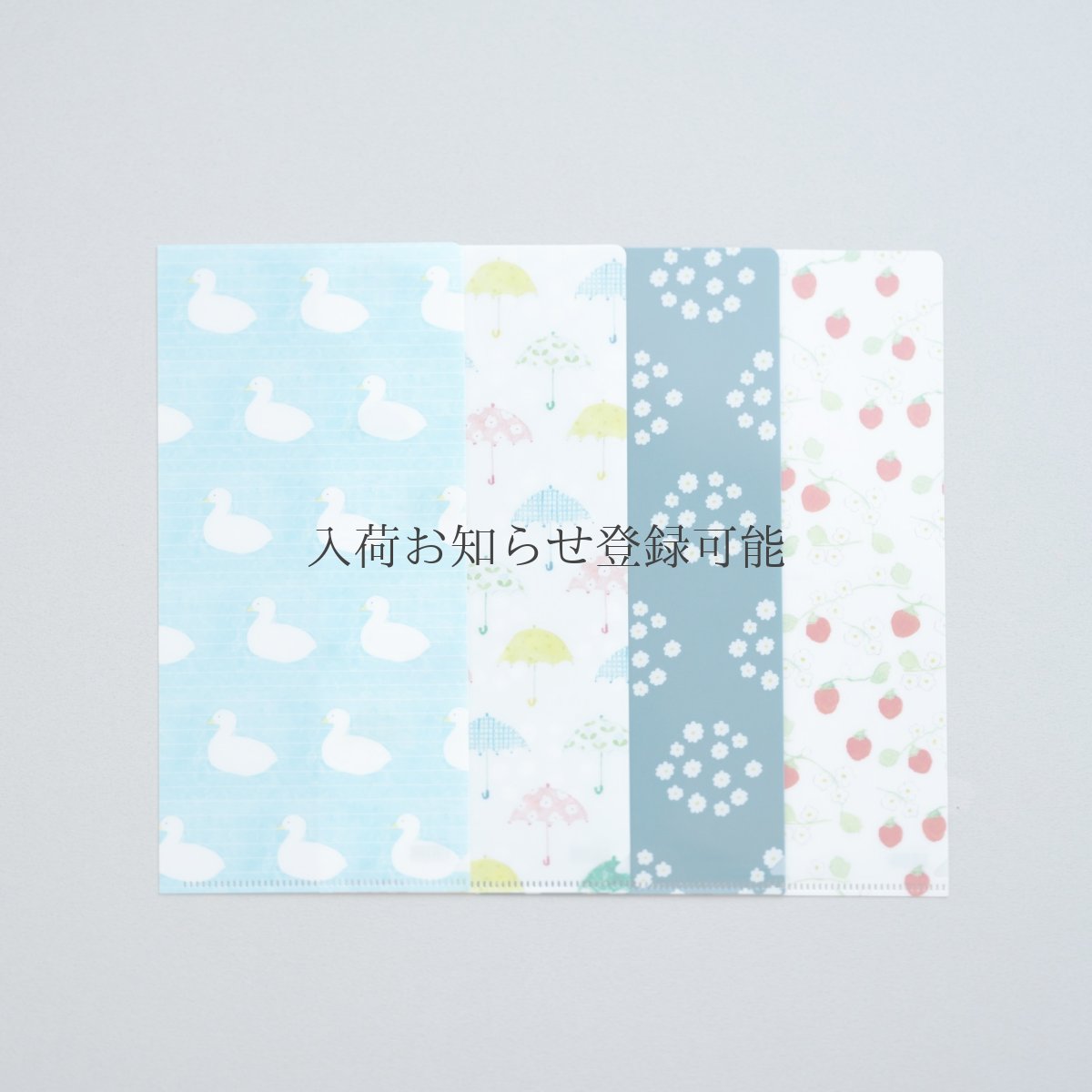 画像4: 〔600円×5個〕チケットファイル-湖畔 (4)