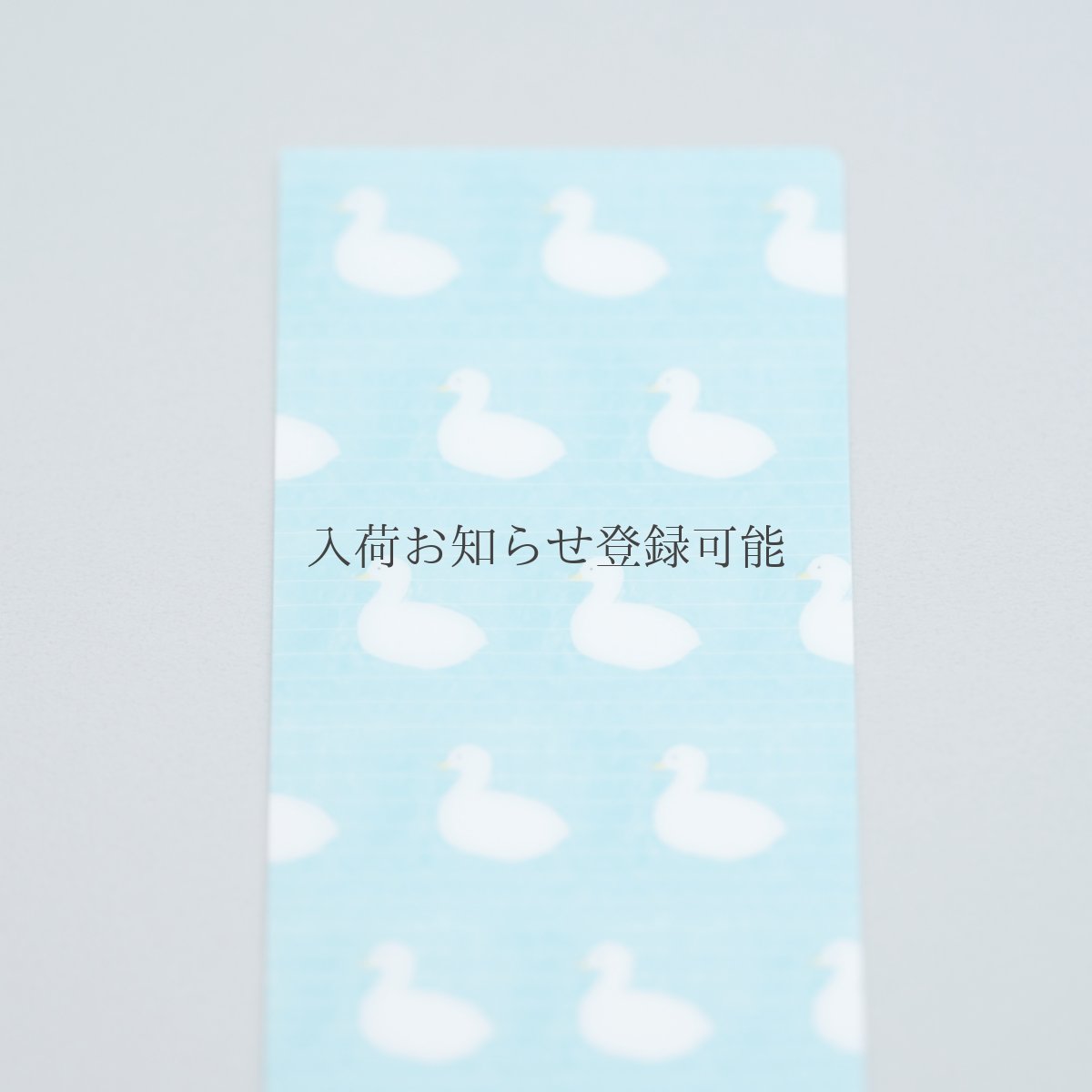 画像1: 〔600円×5個〕チケットファイル-湖畔 (1)