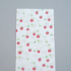 画像1: 〔600円×5個〕チケットファイル-いちご畑 (1)